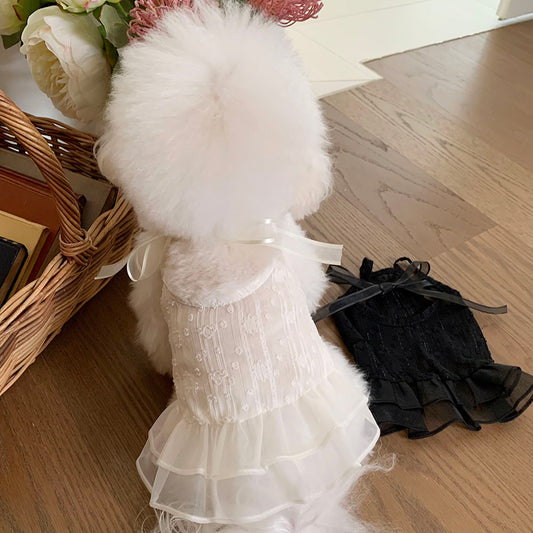 Ballet Sheer Dress (2 colors)