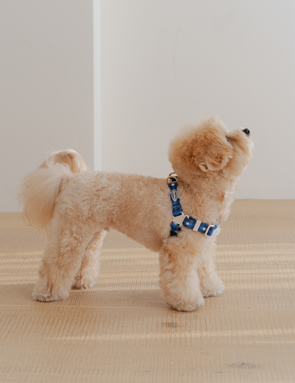 Stella Check Harness L-Shape (2 colors)