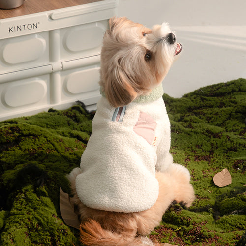 Winter Palette Fleece T-shirt (3 colors)