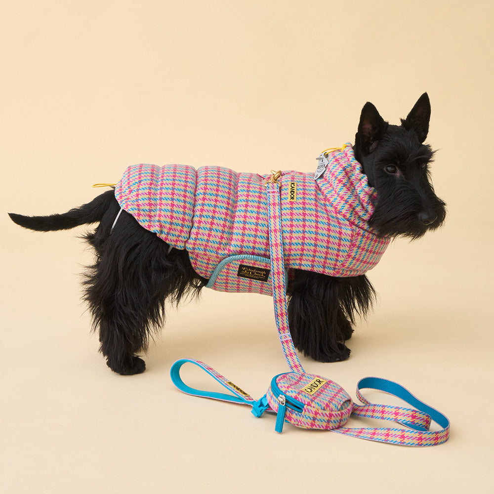 Thermo 3 Edinburgh Check Padding (Candy Tartan) Preorder