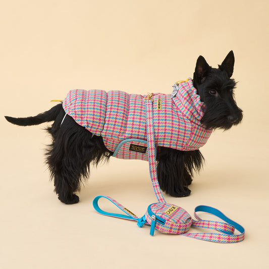 Thermo 3 Edinburgh Check Padding (Candy Tartan) Preorder