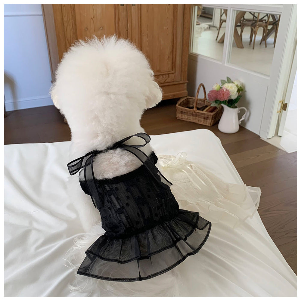Ballet Sheer Dress (2 colors)