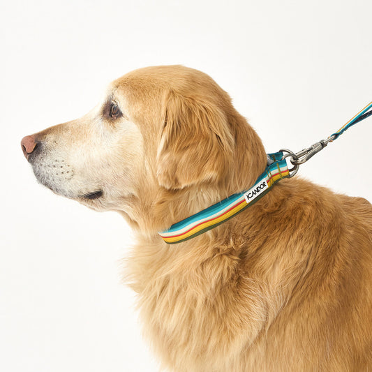 Gentle Collar Dual (Ripple)
