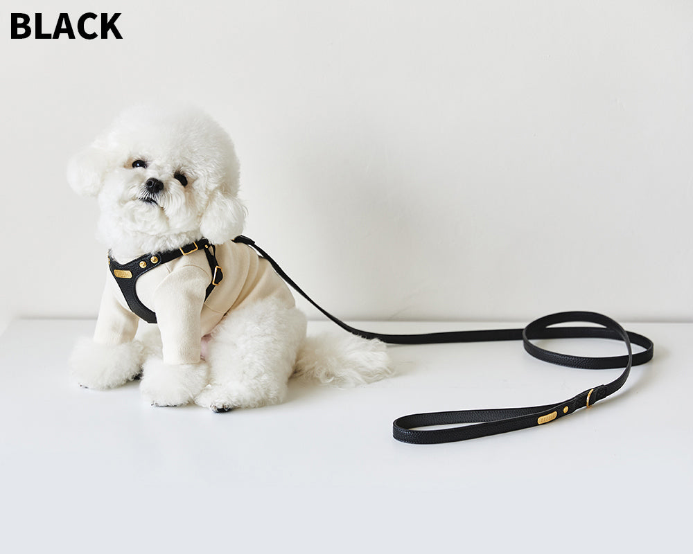 Delight One-Touch Buckle Harness (4 colors) preorder