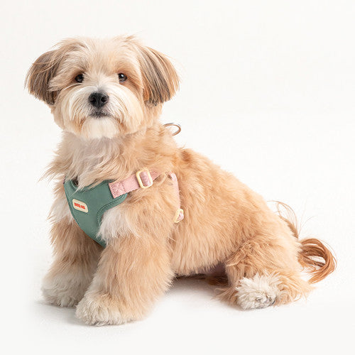 Comfort Harness (3 colors)