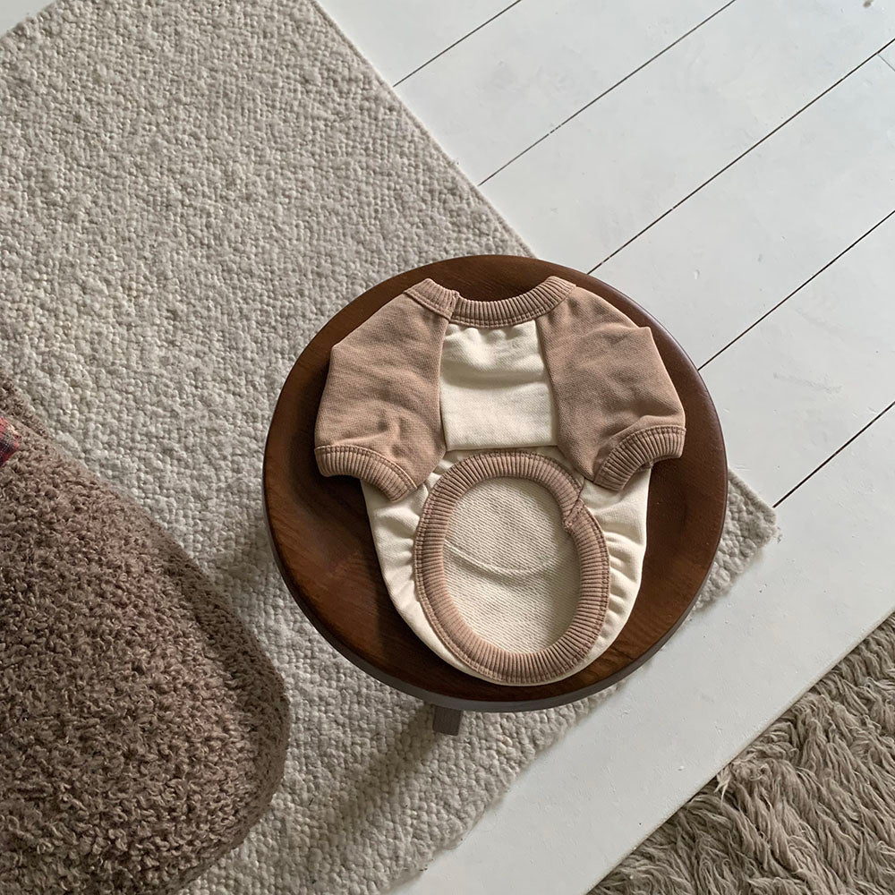 Bear Patch Raglan Sweatshirt (4 colors)