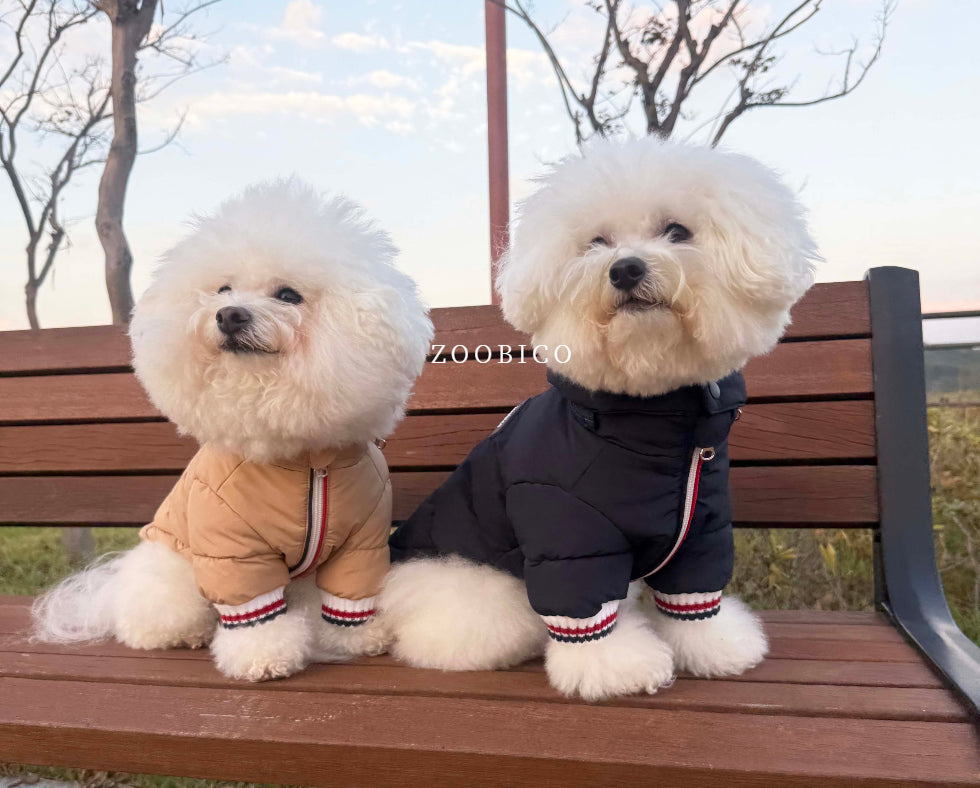 Tricolor Hooded Puffer Jacket (3 colors)