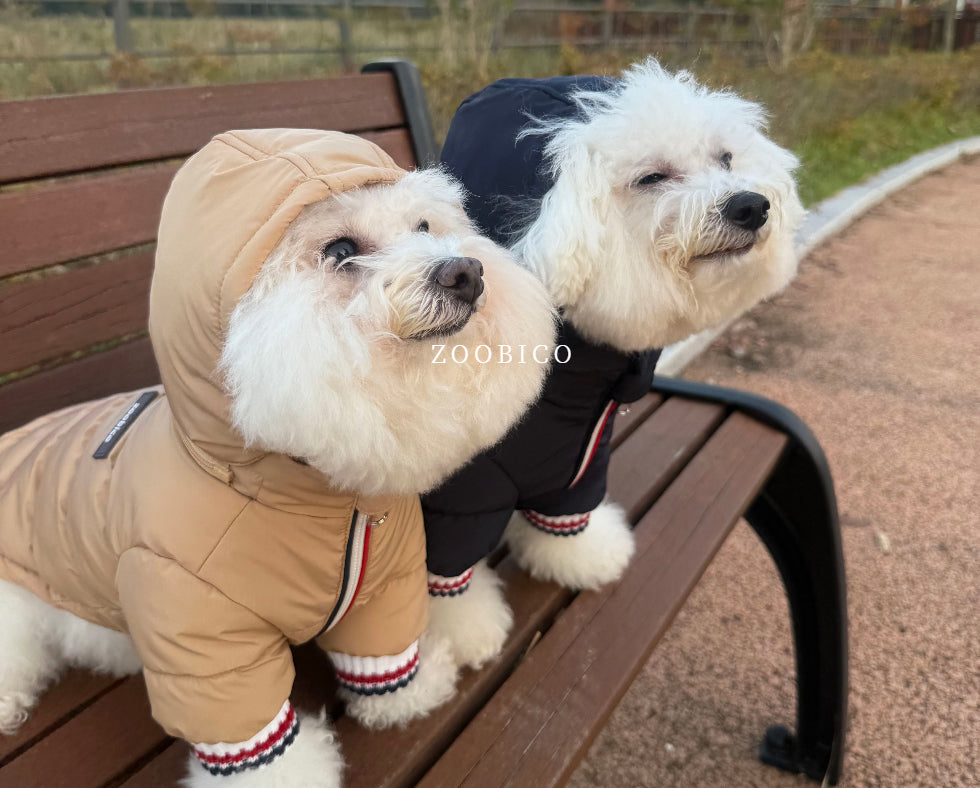 Tricolor Hooded Puffer Jacket (3 colors)