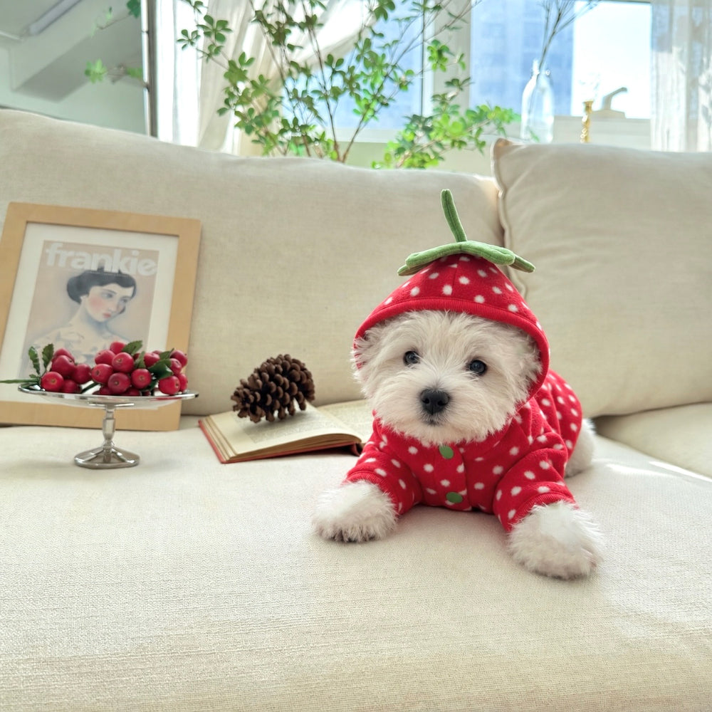 Fruity Dot Fleece Jacket (2 colors)