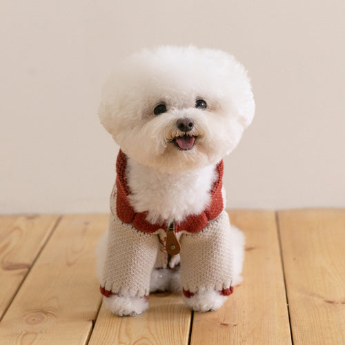 Maple Cowichan Knit Cardigan (2 colors) Preoder