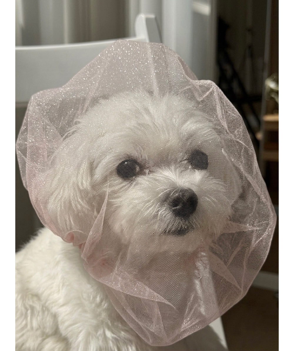 Face Mesh Cover (3 Sizes)
