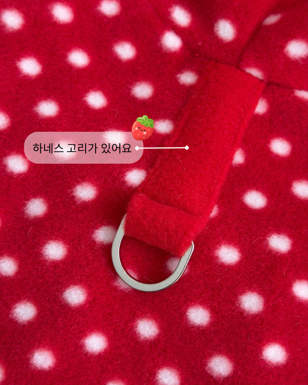 Fruity Dot Fleece Jacket (2 colors)