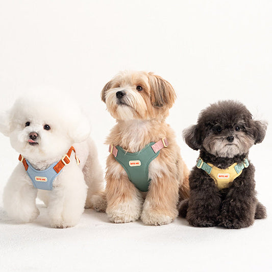 Comfort Harness (3 colors)