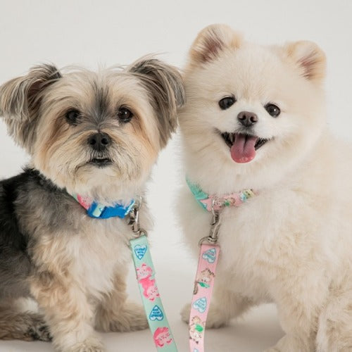 Pokori Friends Adventure Collar (3 colors)