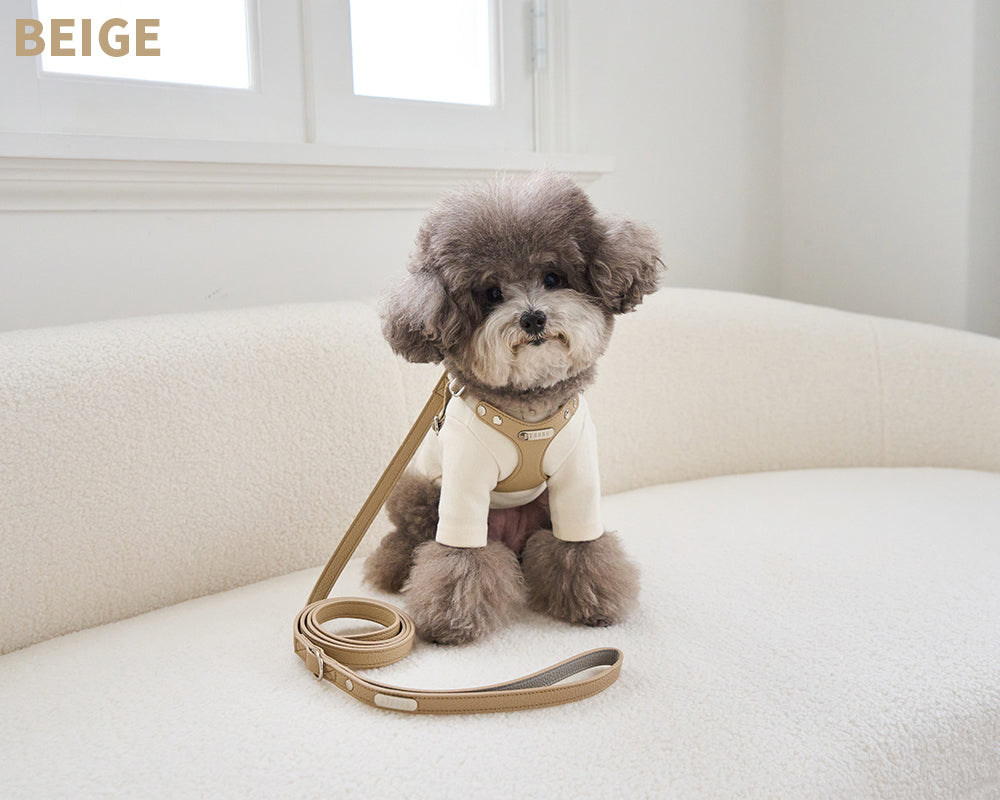 Delight One-Touch Buckle Harness (4 colors) preorder