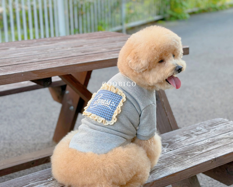 Cuteness Lace Sweatshirt (2 colors)