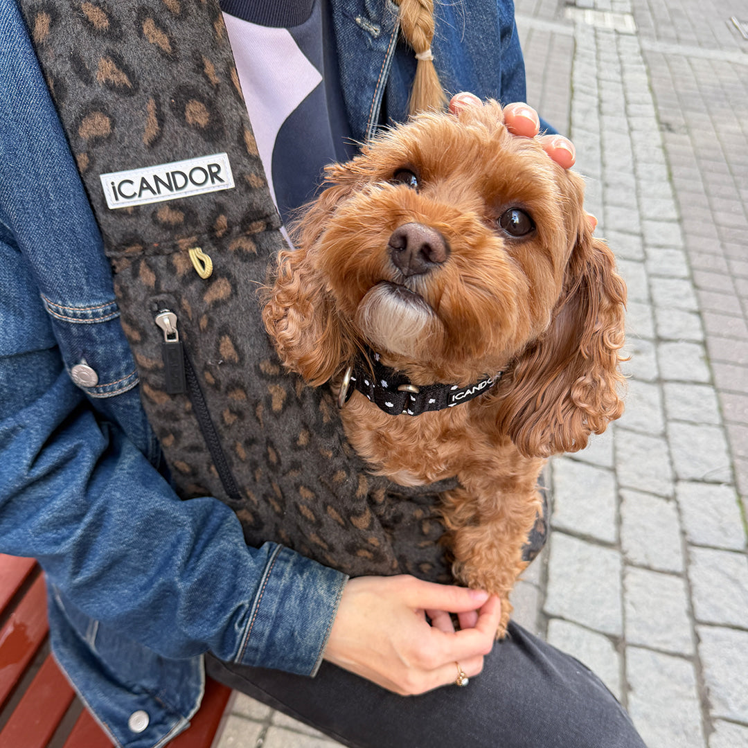 Dumpling Sling Bag Leopard