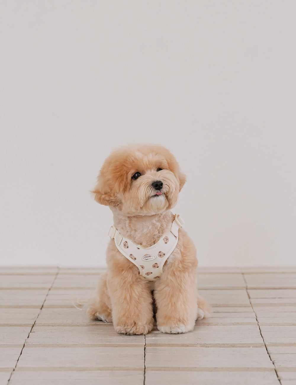 Bear Bebe Harness X-type (3 colors)
