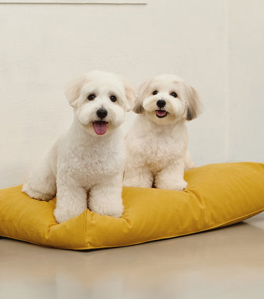 Rest Bed Mustard
