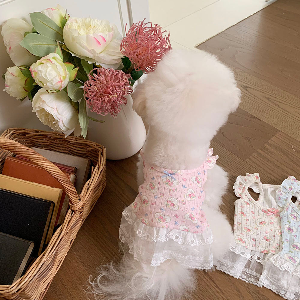 Fairy Petal Frill Dress (3 colors)