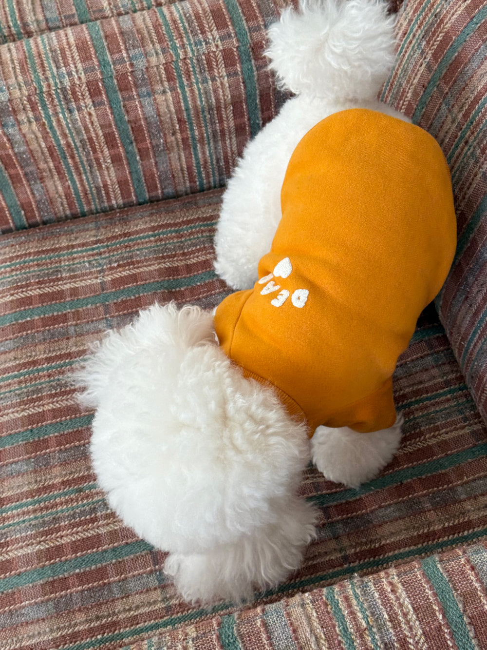 Cotton Candy Sweatshirt (4 colors)