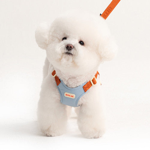 Comfort Harness (3 colors)