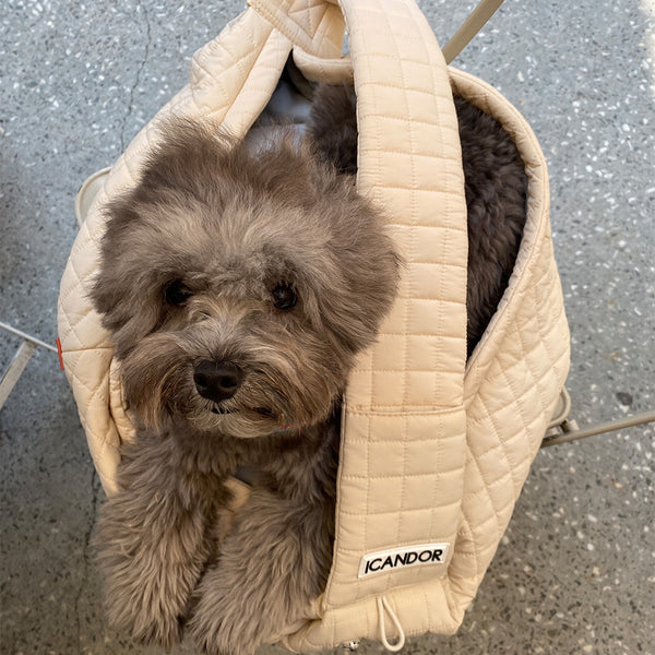 Dumpling Sling Bag (Cream Beige)