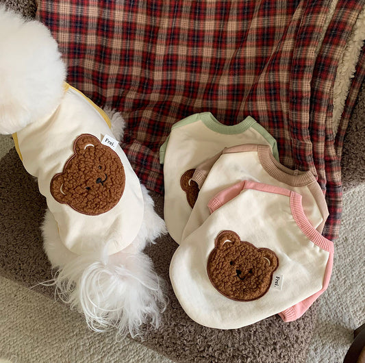 Bear Patch Raglan Sweatshirt (4 colors)