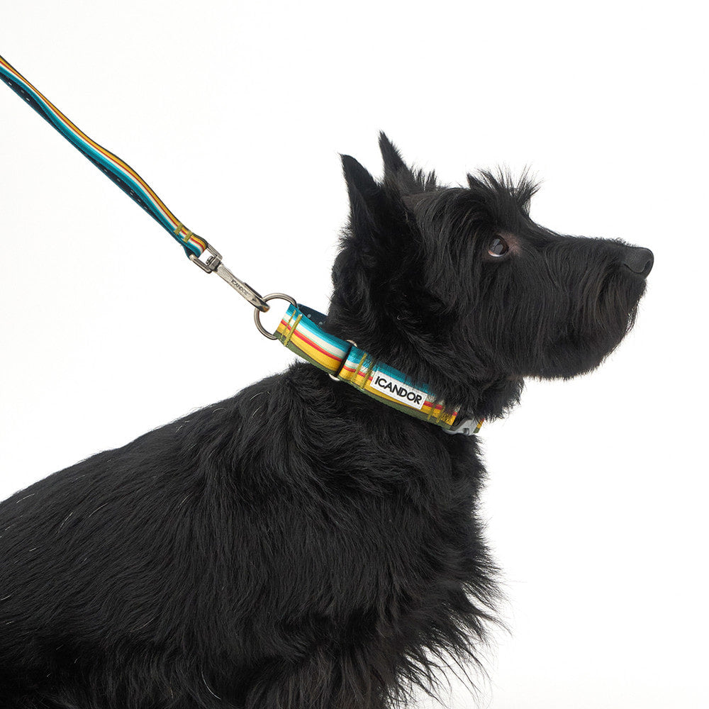 Martingale Collar Buckle (Ripple)