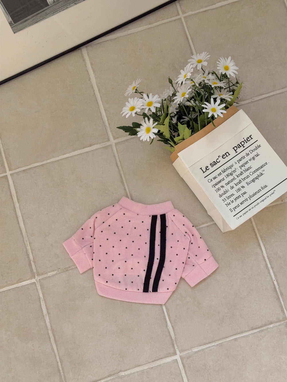 Terry Dot Sweatshirt (4 colors)