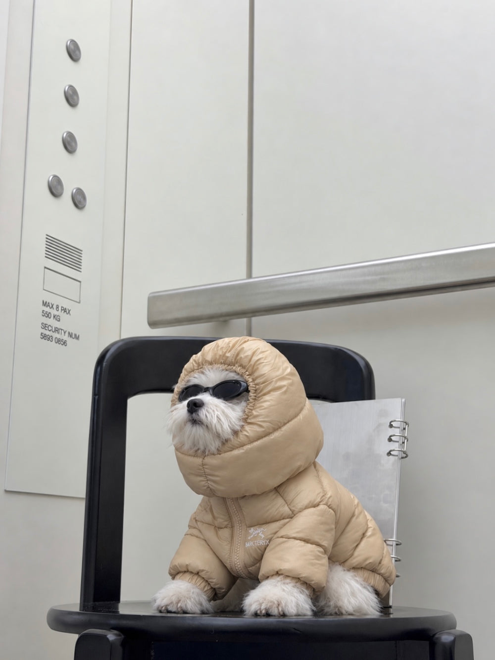 Bark'teryx Lightweight Puffer Jacket (4 colors)