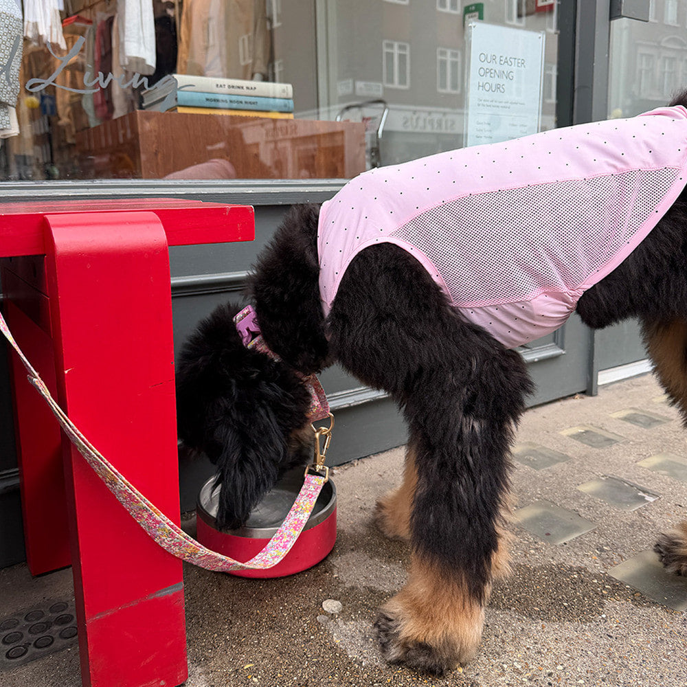 Ocean Cooling Vest (Candy Pink)