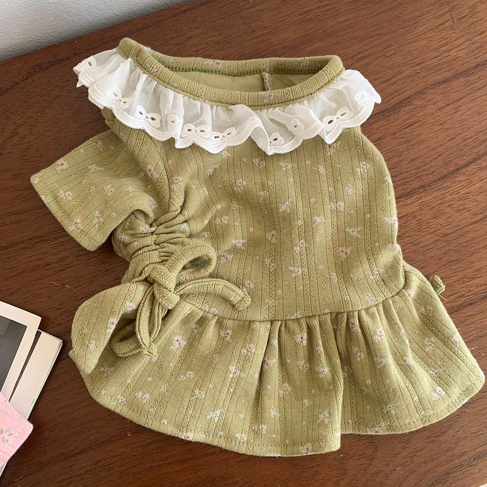Lace Collar Shirred Dress (3 colors)