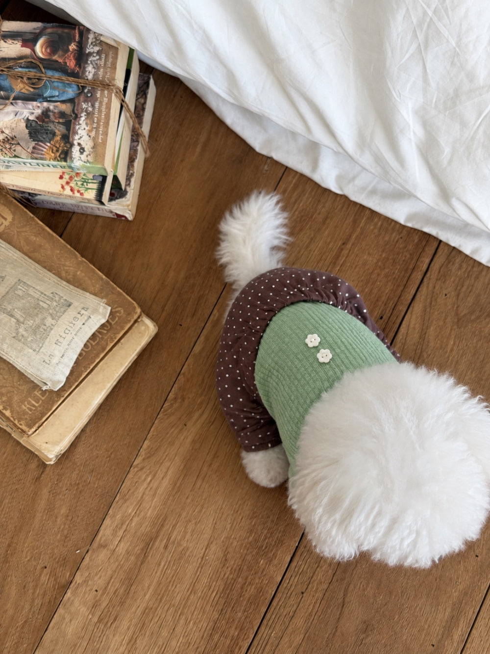 Bebe Polka Dog Onesie (3 colors)