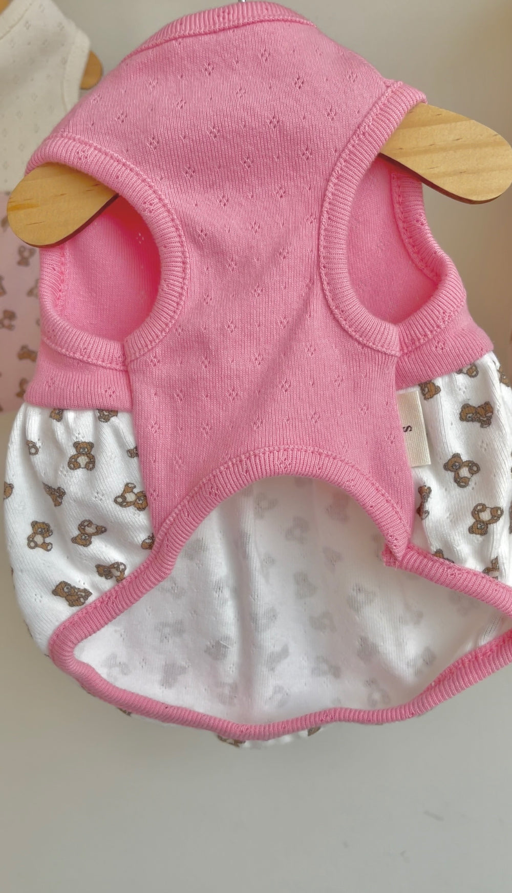 Teddy Balloon Dress & Onesie (3 colors)