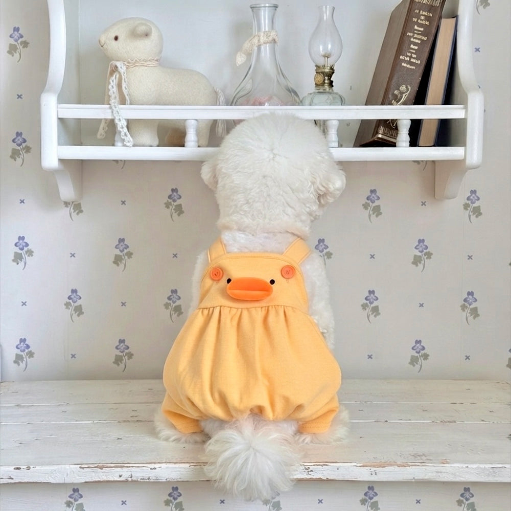 Chick Suspender Dress & Onesie