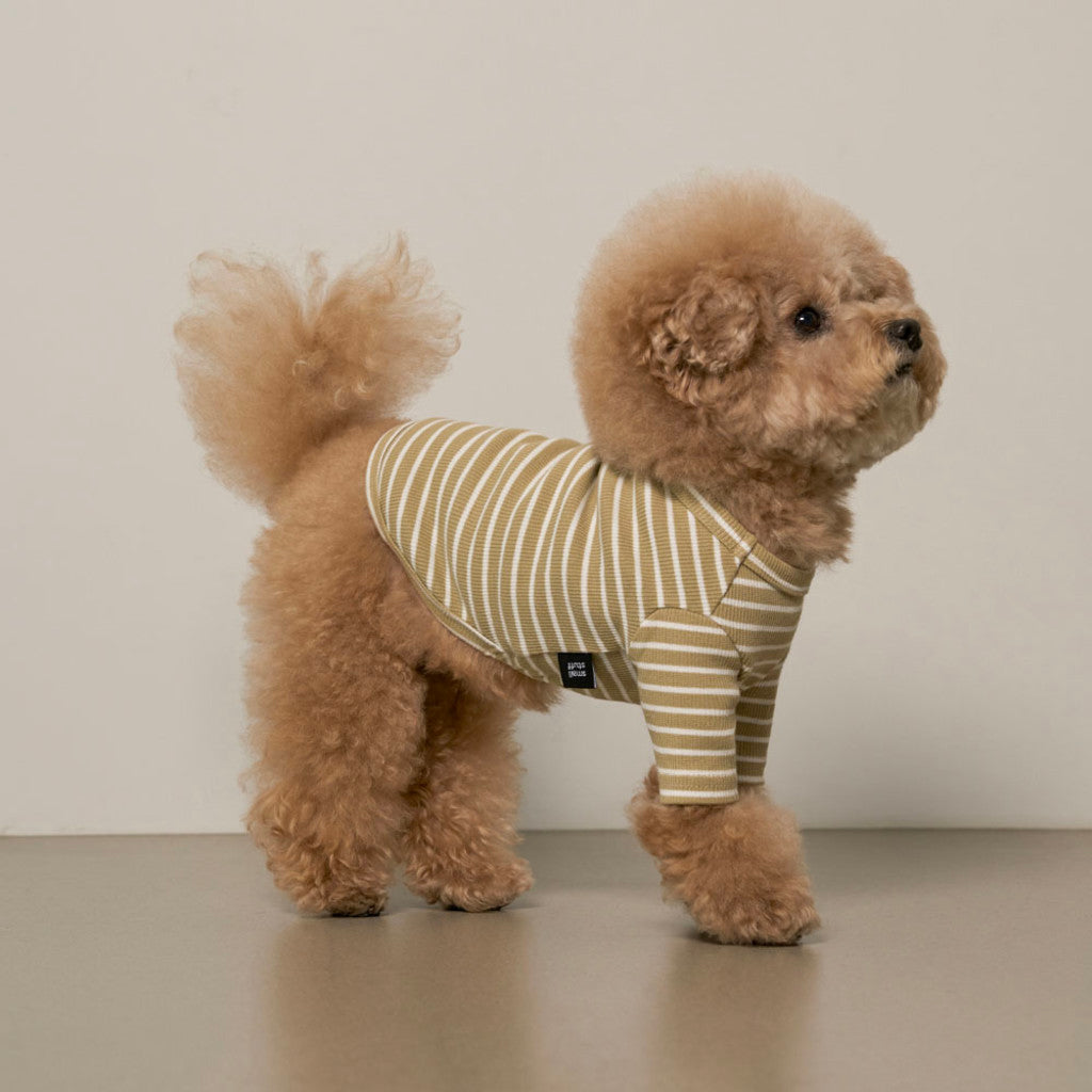 Striped T-Shirt (Matcha) Preorder