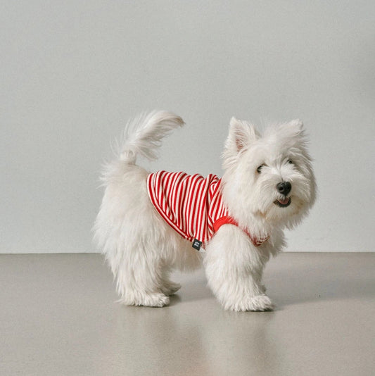 Striped Sleeveless Red