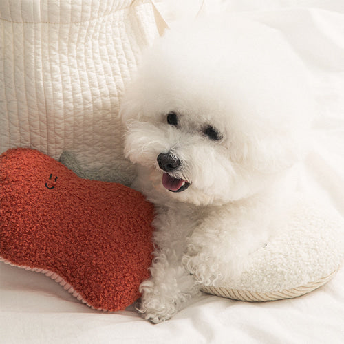 My Home Buddy Cushion (3 type) Preorder