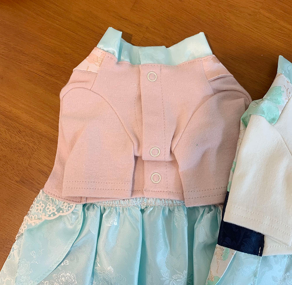 Coco Pastel Hanbok (2 style)