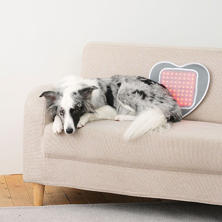 Cirius Pet Warm Pad (Small to Large sized dogs)