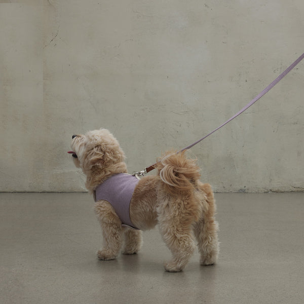 Walk Jacket Harness (Lavender)