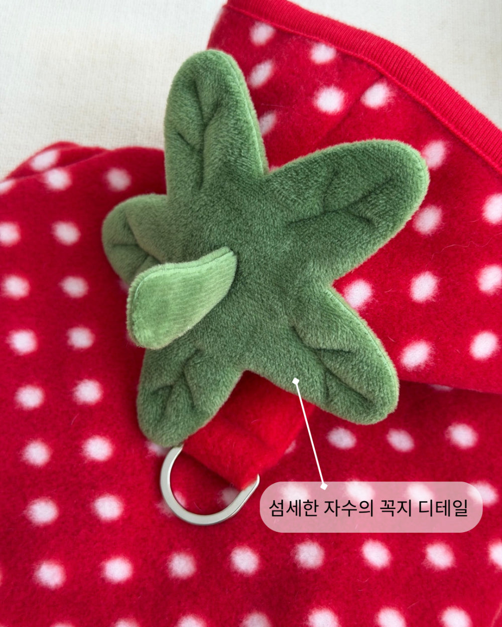 Fruity Dot Fleece Jacket (2 colors)