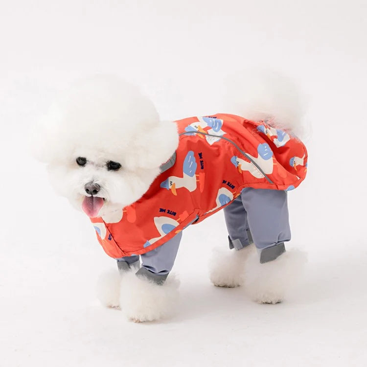 Patterned Raincoat (3 colors)