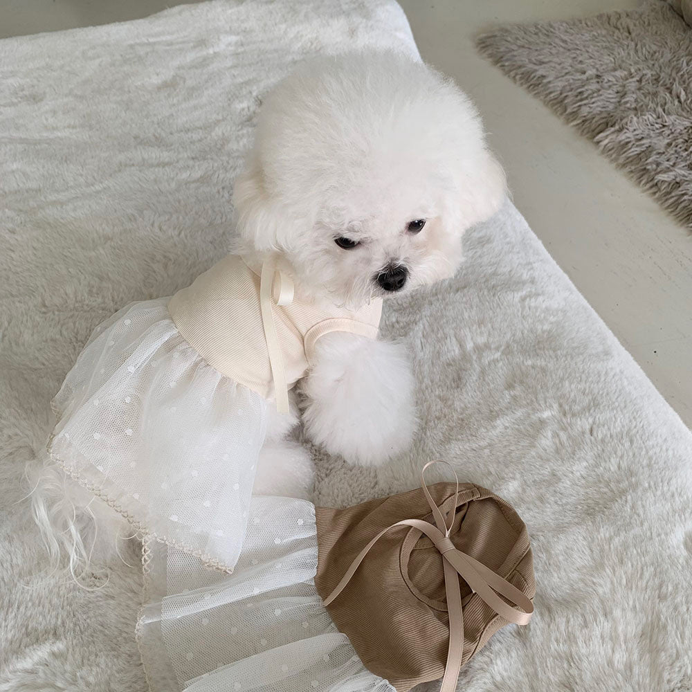 Ballet Ribbed Sleeveless Dress (2 colors)