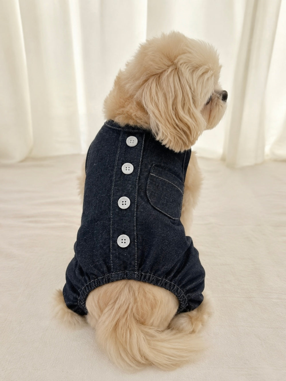 Denim Jumpsuit (2 colors)