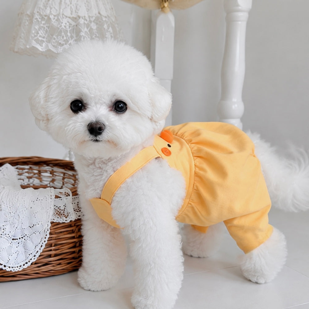 Chick Suspender Dress & Onesie