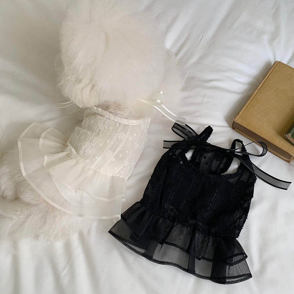 Ballet Sheer Dress (2 colors)