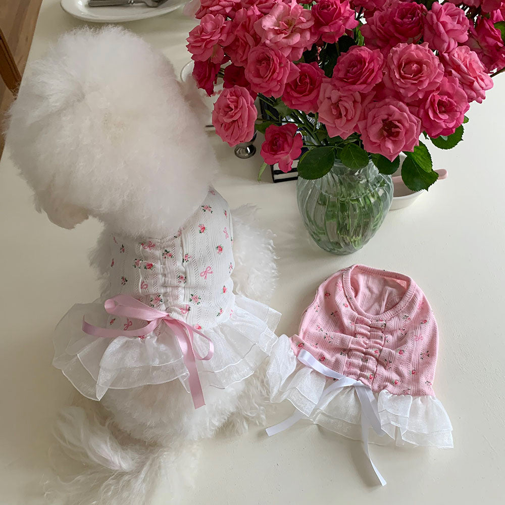 Ballet Flower Ribbon Frill Dress (2 colors)