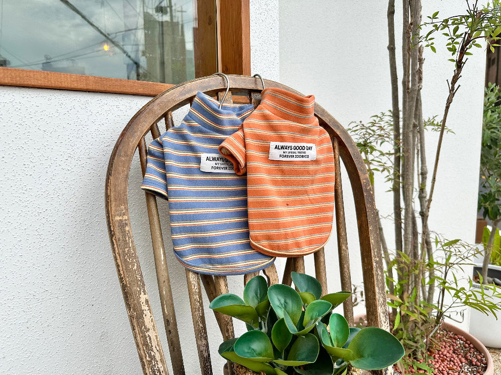 Good Day Stripe Turtleneck Tee (2 colors)